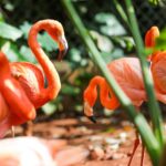 4-Day Sanya +Haikou Private Tour :Nanshan Temple &Yanoda Rainforest + Binglang Valley&Hot Spring & Cultural Experiences
